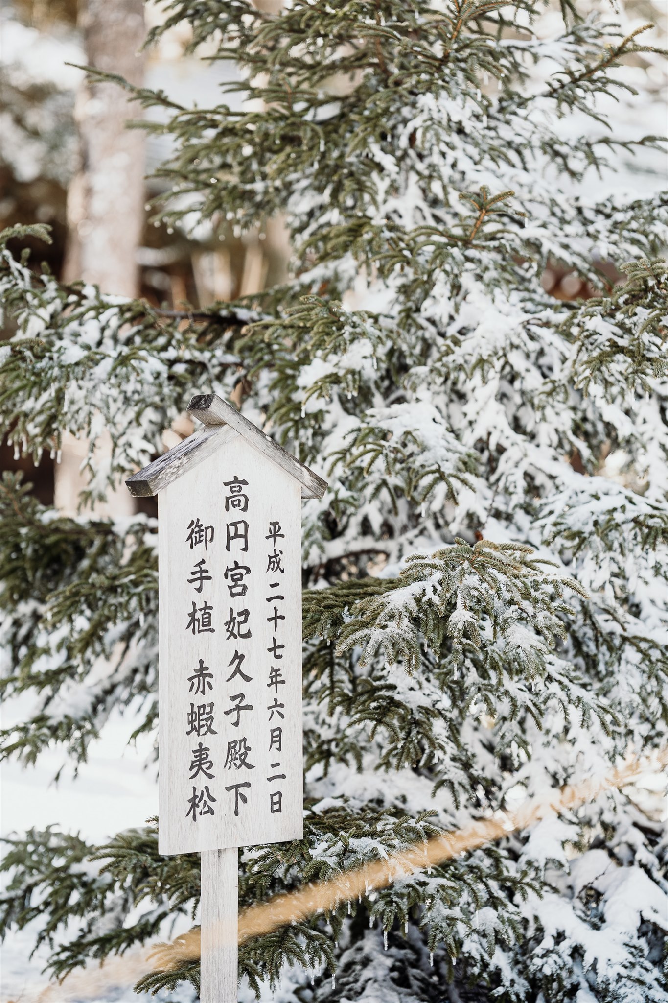 Mariage d'hiver au Japon - Yuka + Julien - Blog Mariage Madame C
