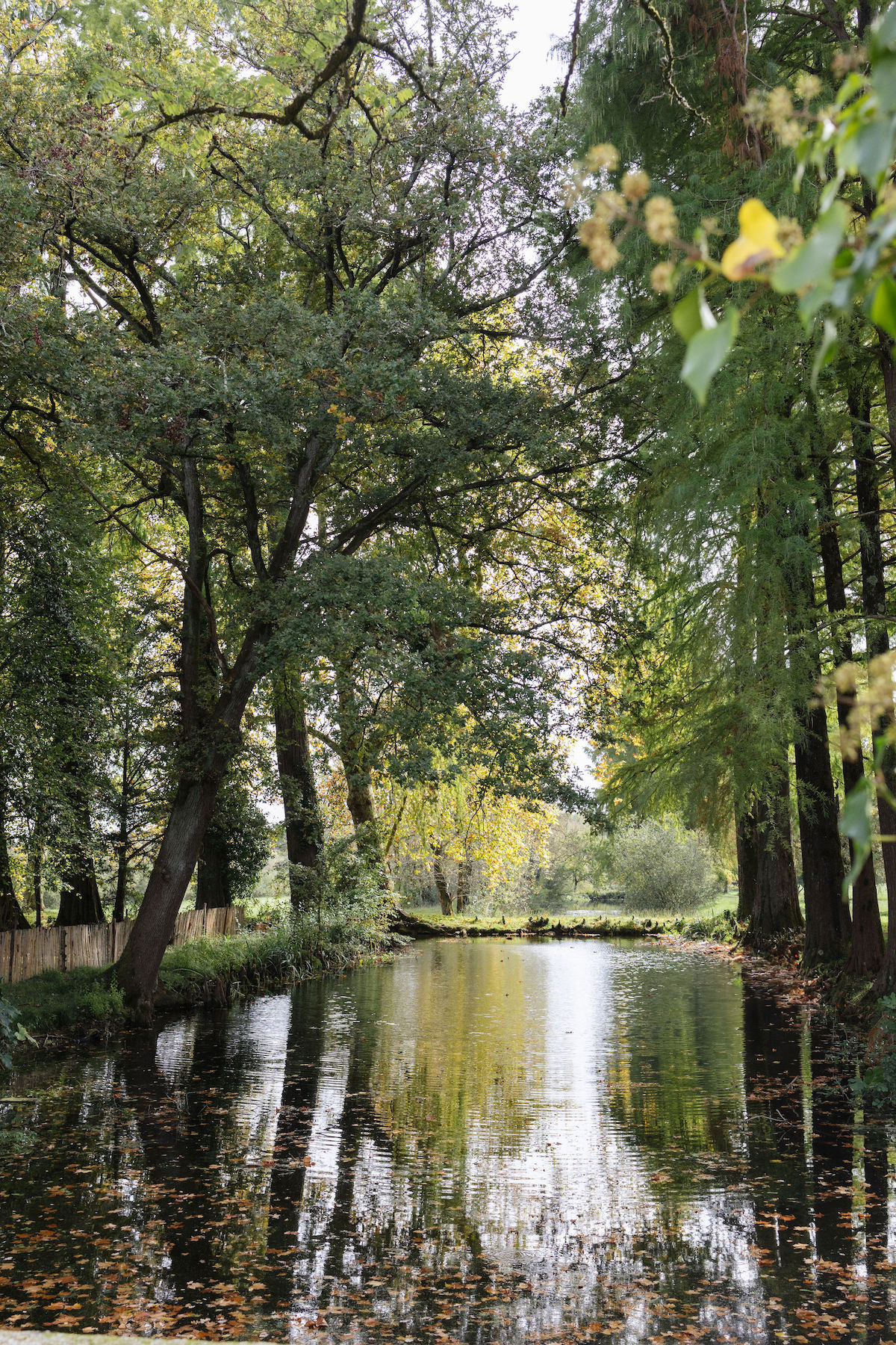 B&W Elegance - Blog Mariage Madame C