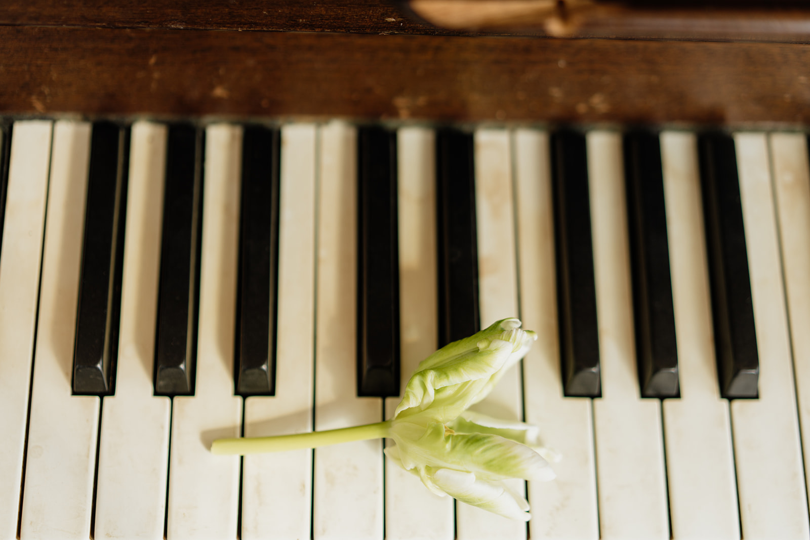 Euphoria - Blog Mariage Madame C