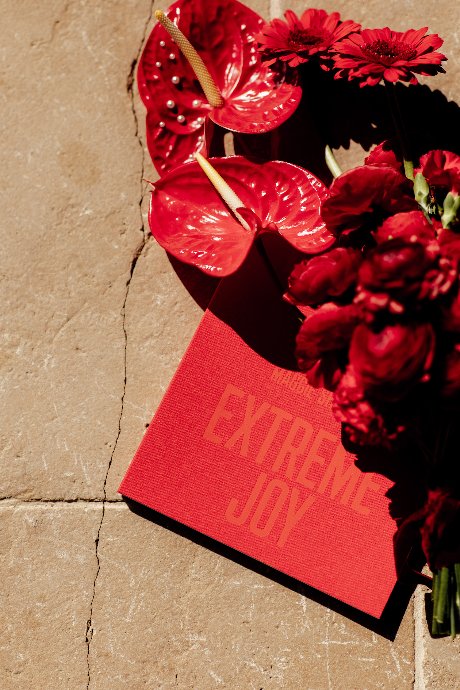 Synopsis - Blog Mariage Madame C Synopsis - Blog Mariage Madame C