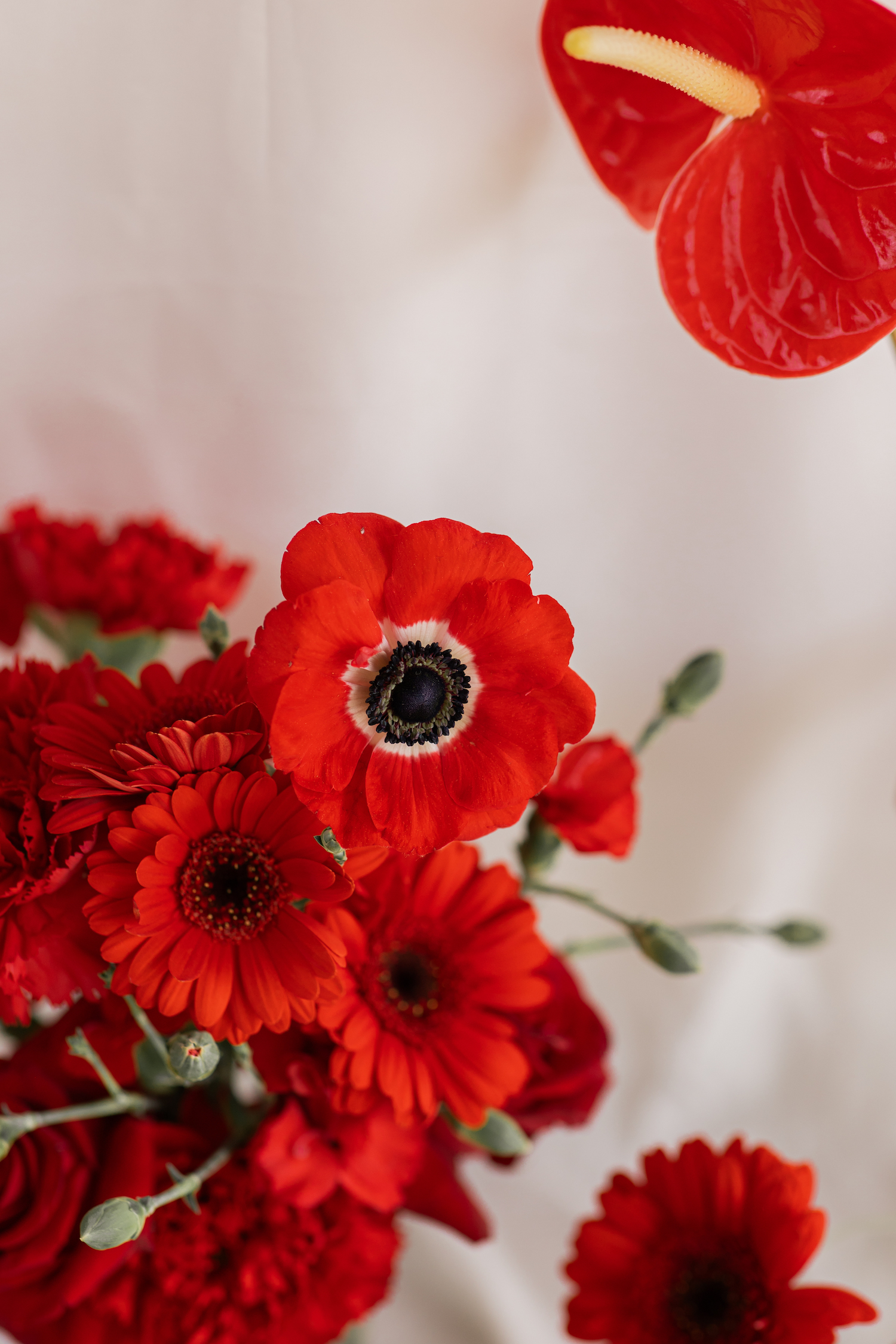 Synopsis - Blog Mariage Madame C Synopsis - Blog Mariage Madame C