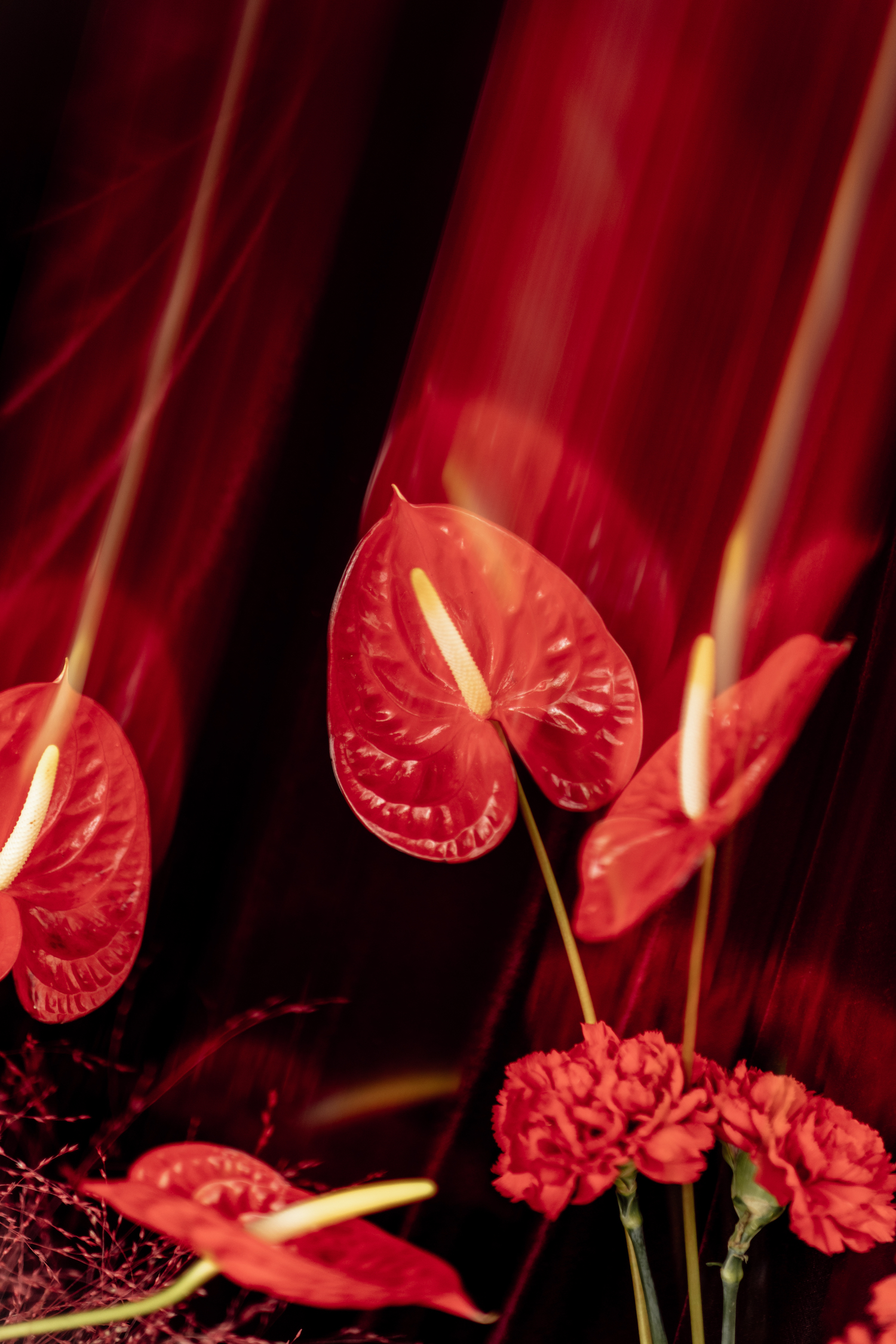 Synopsis - Blog Mariage Madame C Synopsis - Blog Mariage Madame C