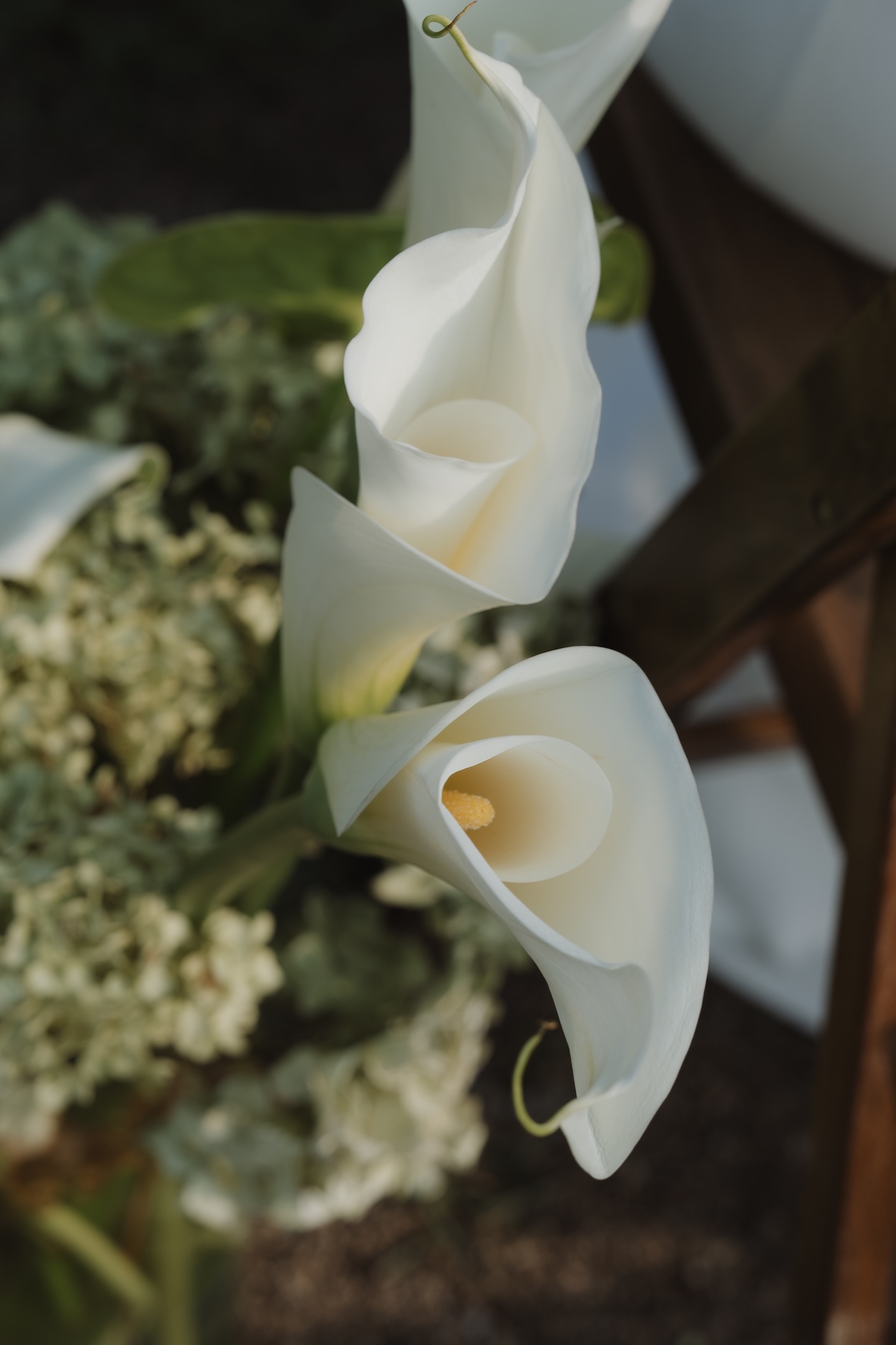 Tendances cérémonie laïque 2026 : authenticité, rythme et émotion au cœur des mariages - Blog Mariage Madame C