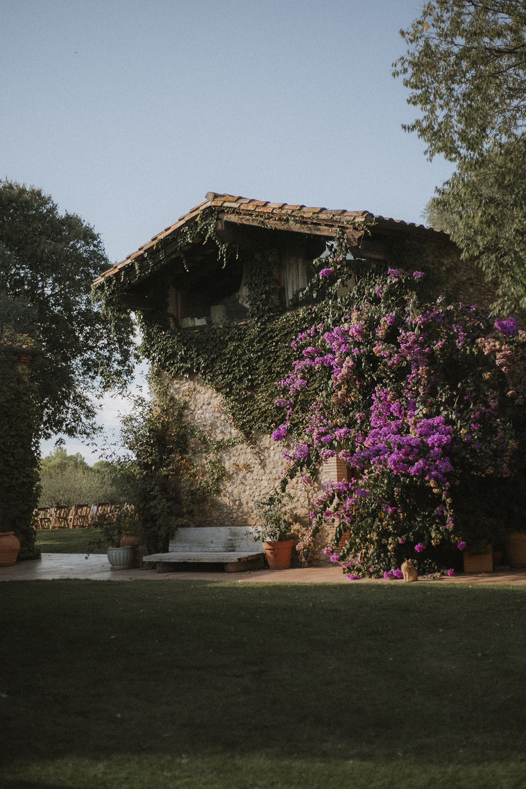 Tendances cérémonie laïque 2026 : authenticité, rythme et émotion au cœur des mariages - Blog Mariage Madame C