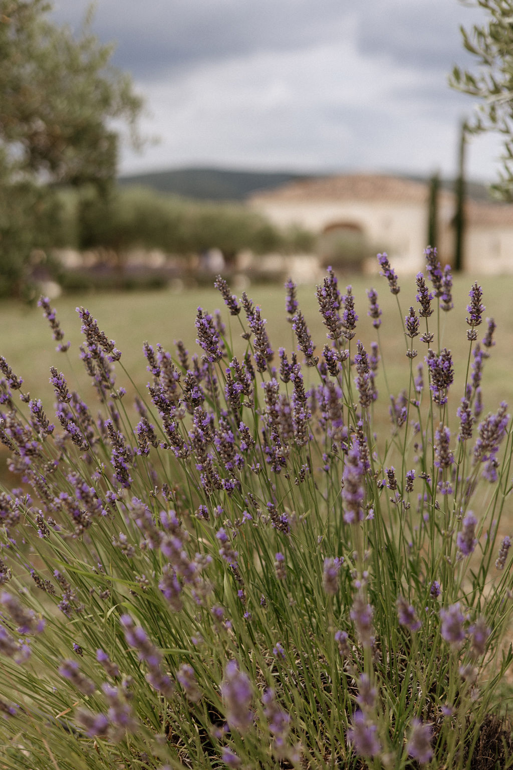 Mariage coloré au Domaine de Brés - Juliette + Fabien - Blog Mariage Madame C Mariage coloré au Domaine de Brés - Juliette + Fabien - Blog Mariage Madame C