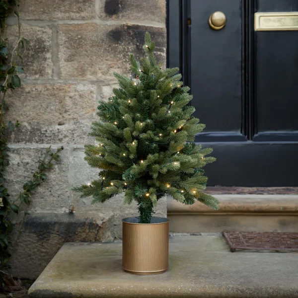 Petit Sapin En Pot Extérieur