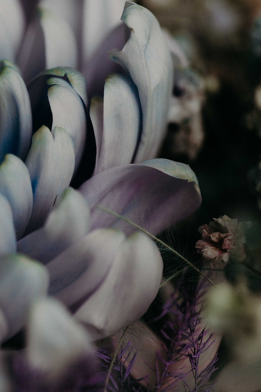 Amour Irisé - Blog Mariage Madame C Amour Irisé - Blog Mariage Madame C