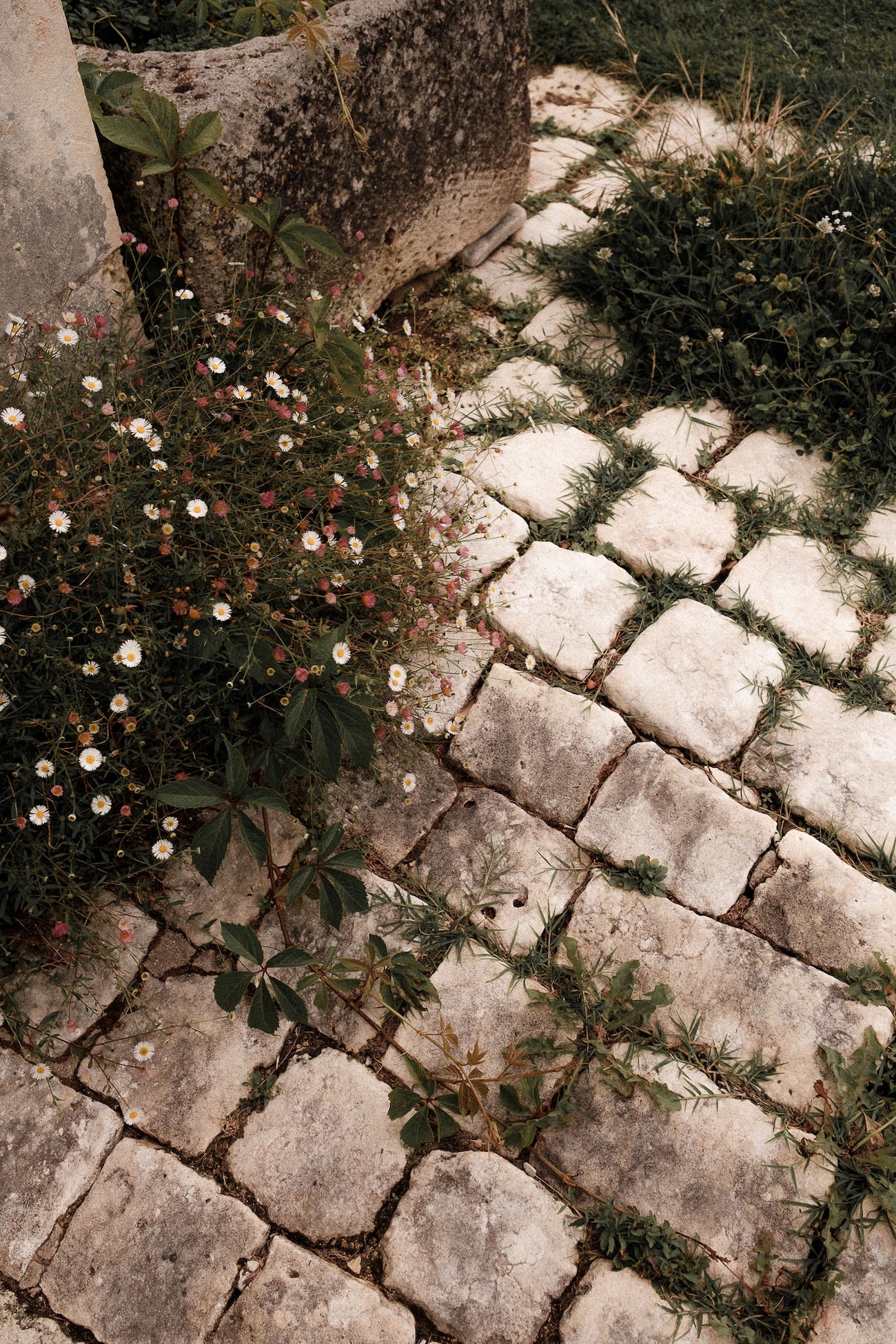 Mariage d'été au Château de Mouillepied - Clémence & Thibaud - Blog Mariage Madame C