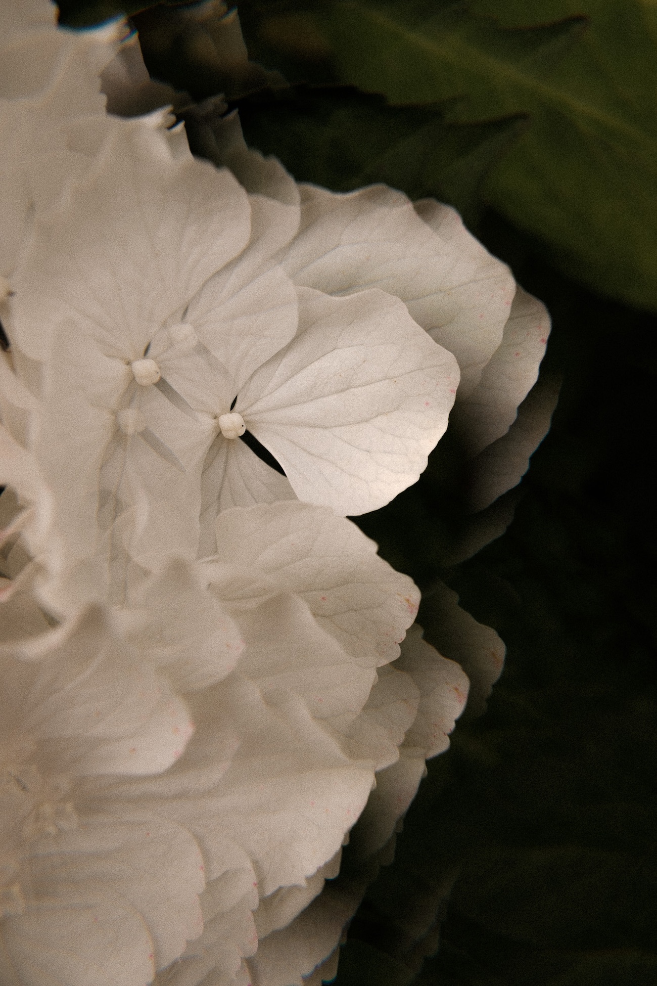 Mariage d'été au Château de Mouillepied - Clémence & Thibaud - Blog Mariage Madame C
