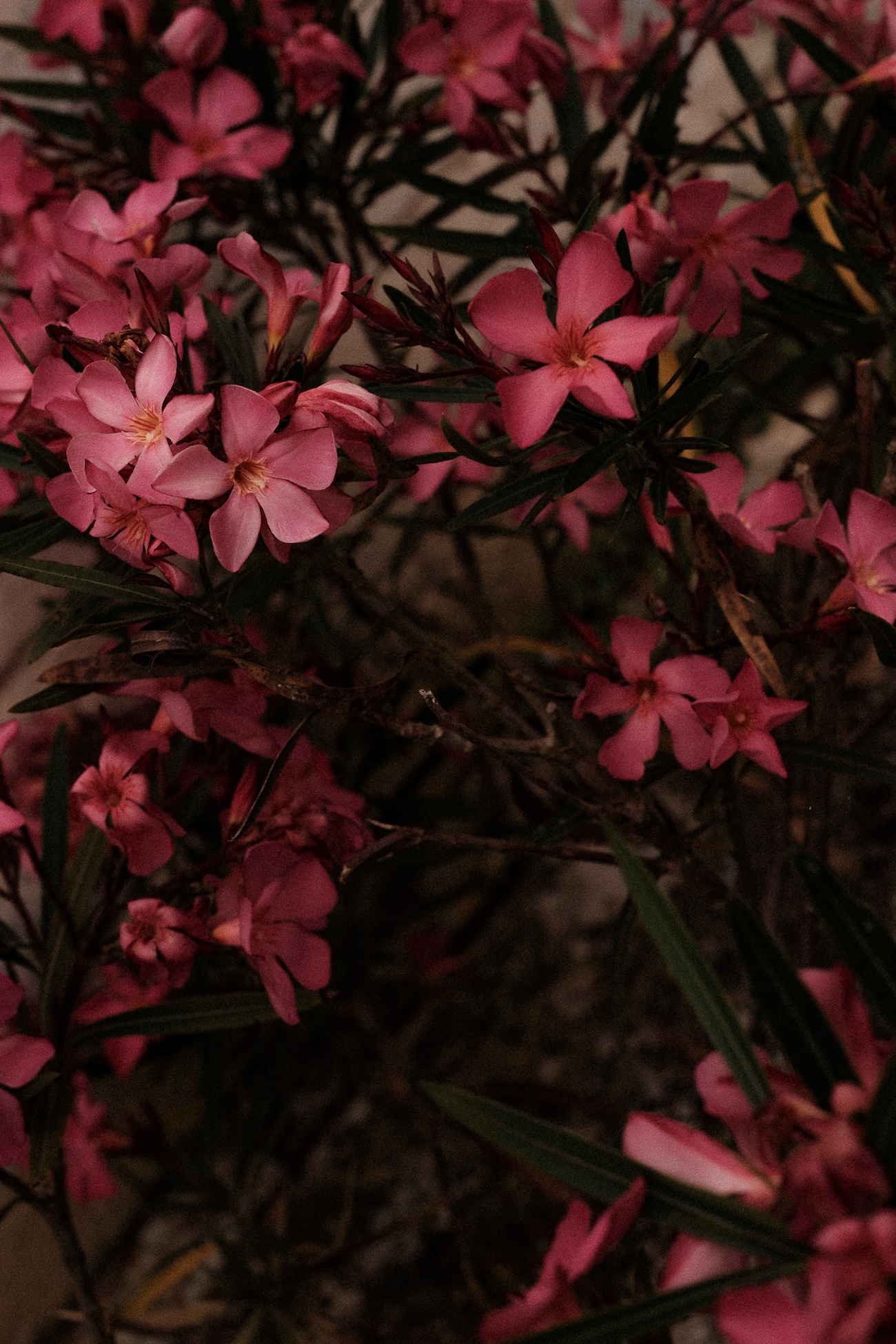 Mariage d'été au Château de Mouillepied - Clémence & Thibaud - Blog Mariage Madame C